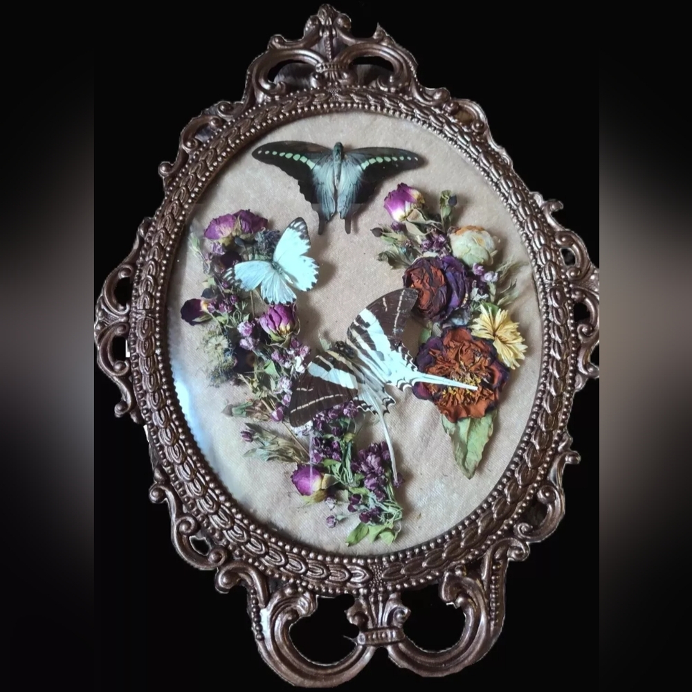 Real Taxidermy W/ Butterflies And DayMoth Ornate Convex Glass Frame Cottagecore